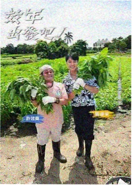 山野厨房 口碑综艺全集在线看